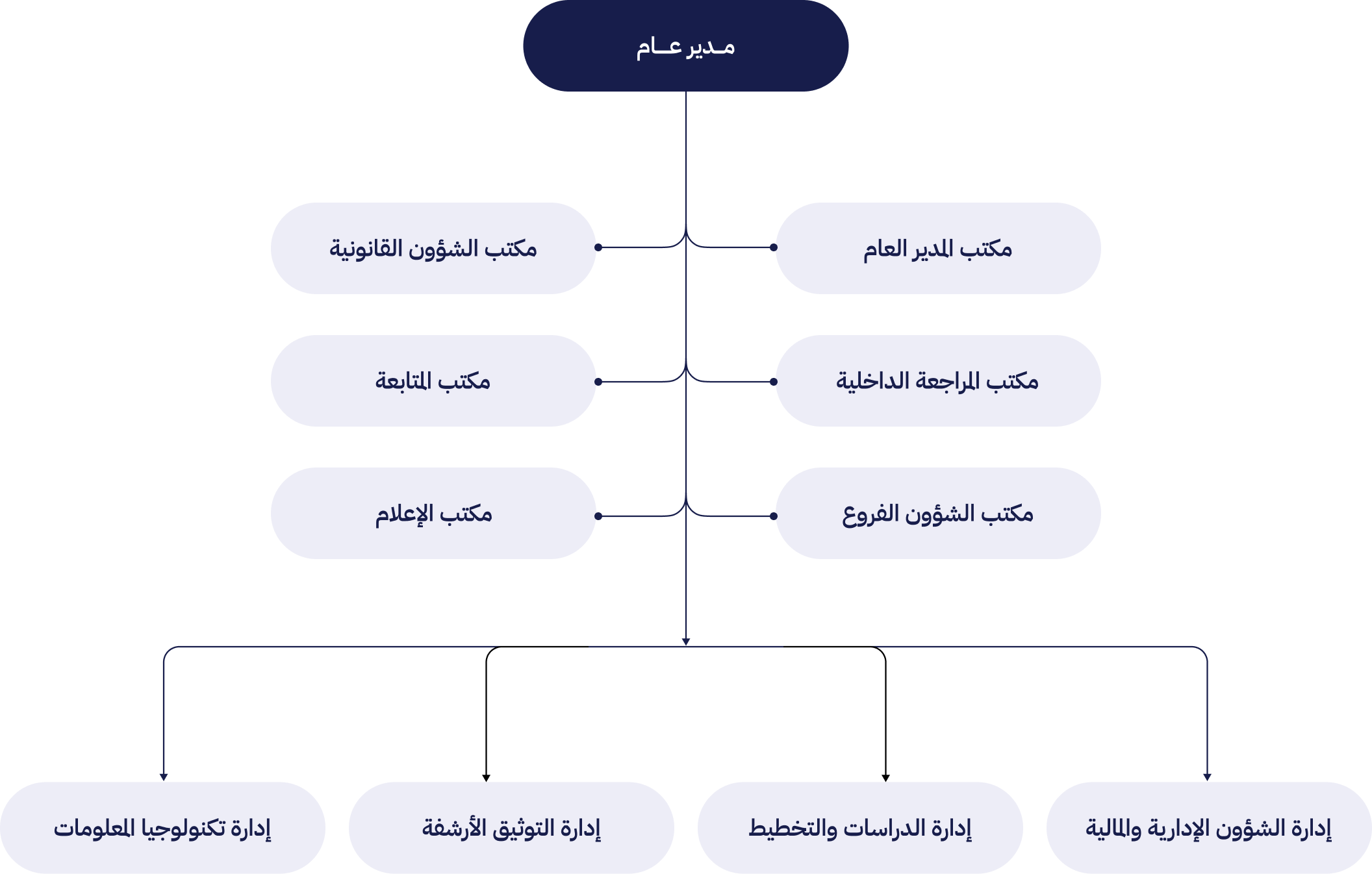 organizational structure