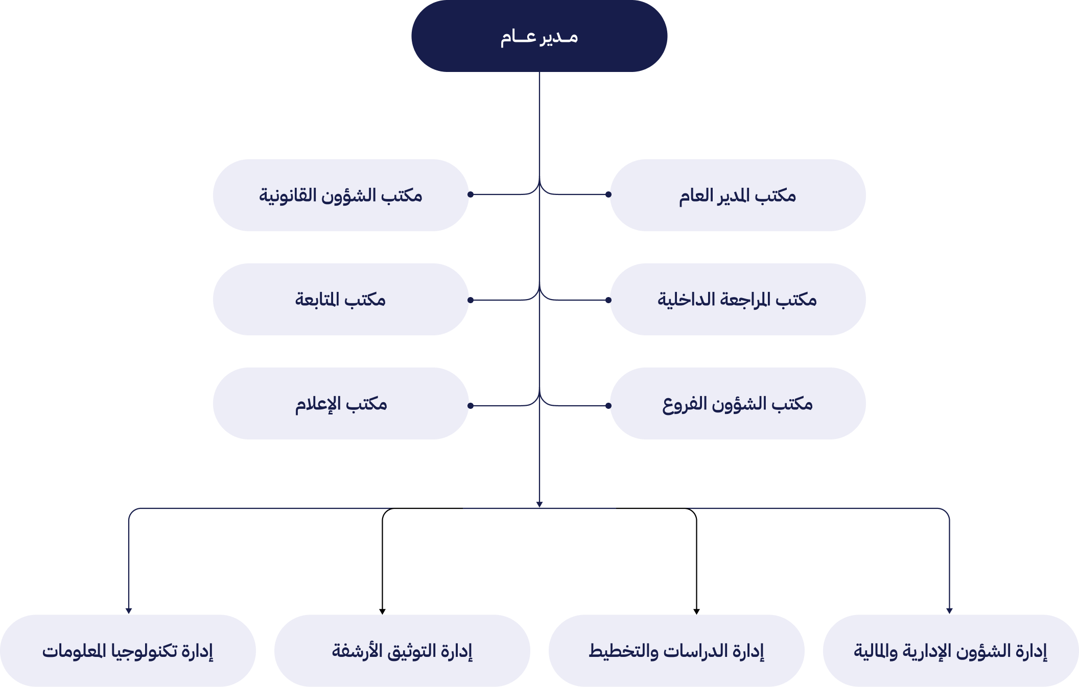 organizational structure